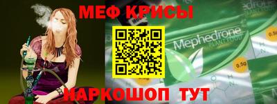 спиды Гай