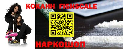 спиды Гай