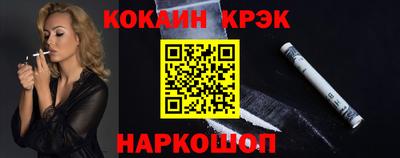 спиды Гай