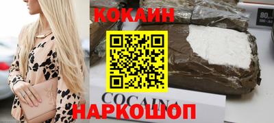 спиды Гай