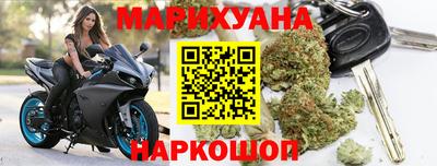 спиды Гай