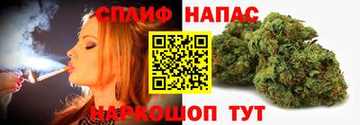 спиды Гай