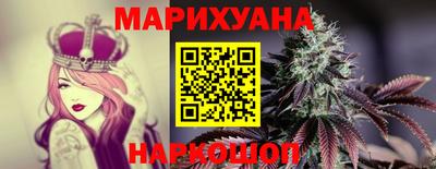спиды Гай