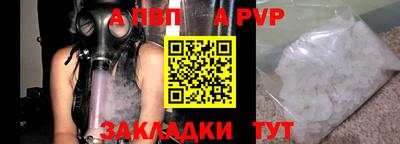 спиды Гай