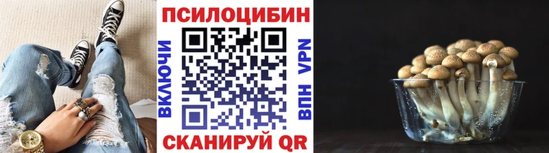 сколько стоит  Мурино  Псилоцибиновые грибы прущие грибы 