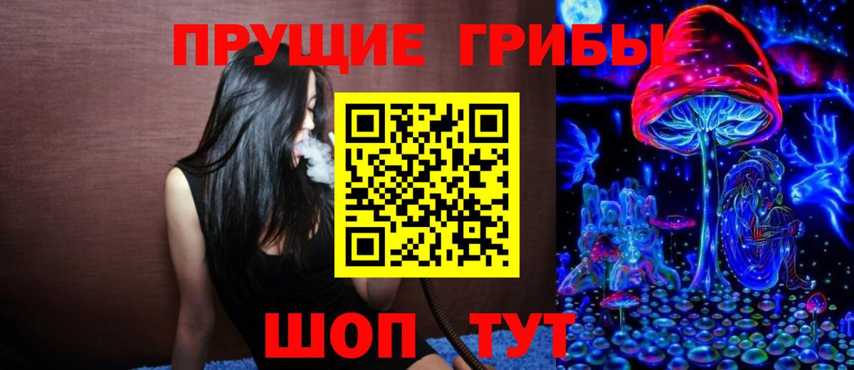 Мурино  Псилоцибиновые грибы MAGIC MUSHROOMS  Вход с VPN 